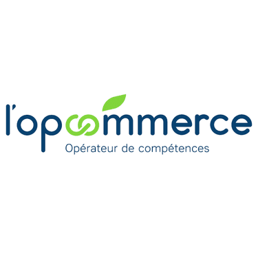 branches professionnelles du Commerce