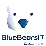 BlueBearsIT