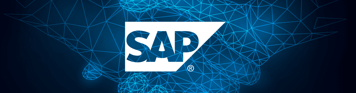 Performance & Gouvernance SAP