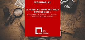 [AEC] Episode 1/7 - Le projet de réorganisation commerciale : écosystème & évolutions, étapes, facteurs clés de succès