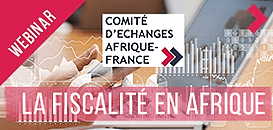 Fiscalité en Afrique : comment sécuriser votre business et vos investissements sur le continent ?