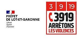 Victime de violences au sein de la famille, témoins : des outils pour vous aider - par DDCSPP / DDFE