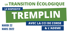 Présentation du dispositif TREMPLIN