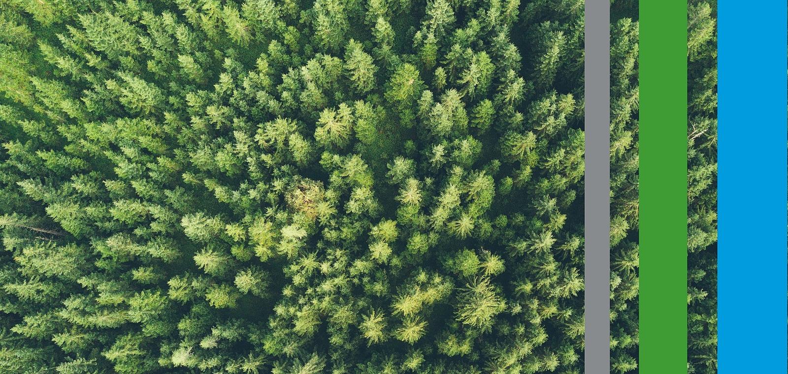 Green bonds : financer la transition de son entreprise avec le nouveau standard européen EUGBs