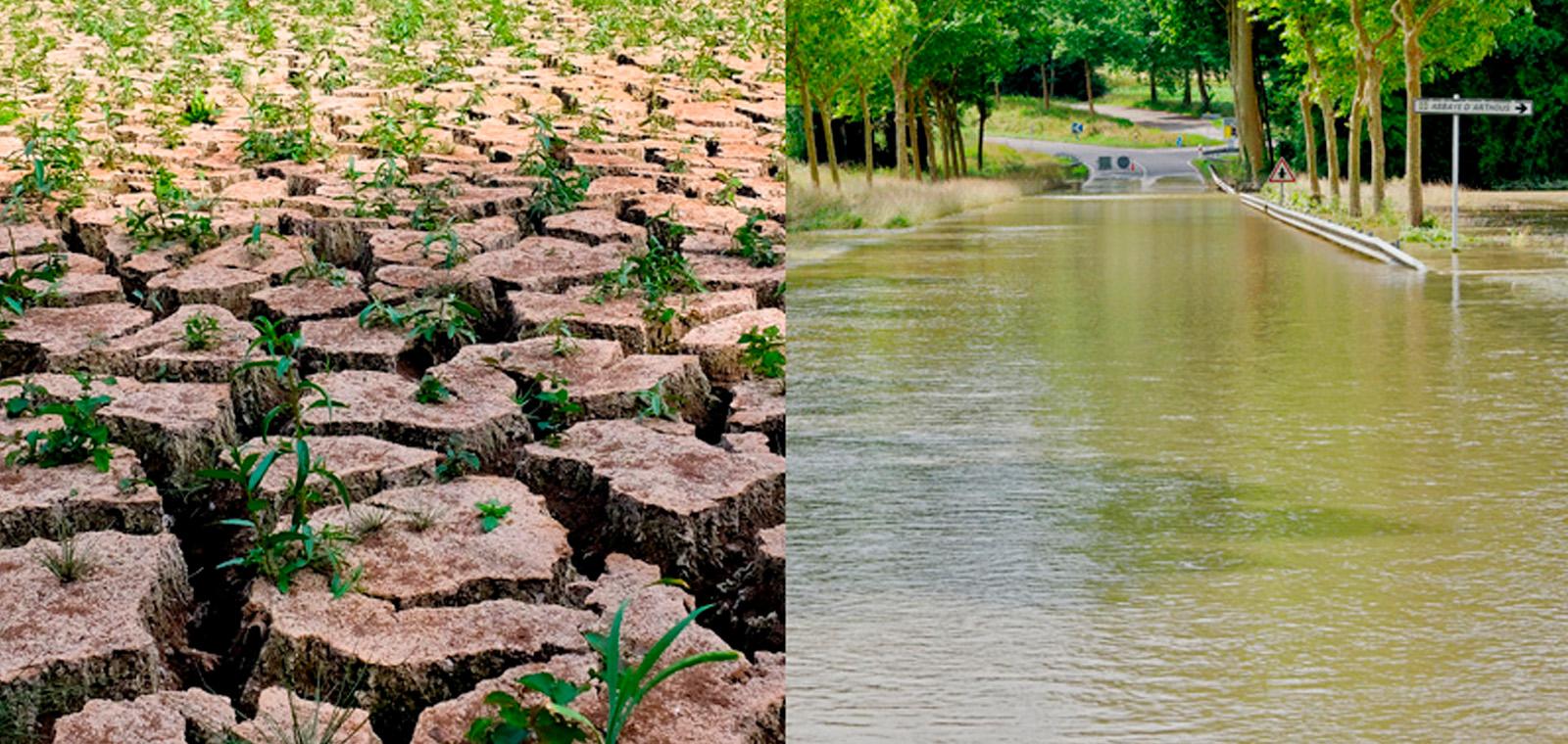 Matinée de l'IGEDD : L'eau, entre manque et trop plein