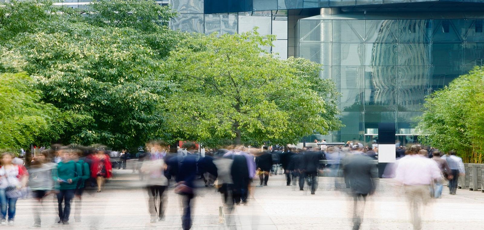 Directive CSRD : décryptage des nouvelles obligations pour les entreprises en France