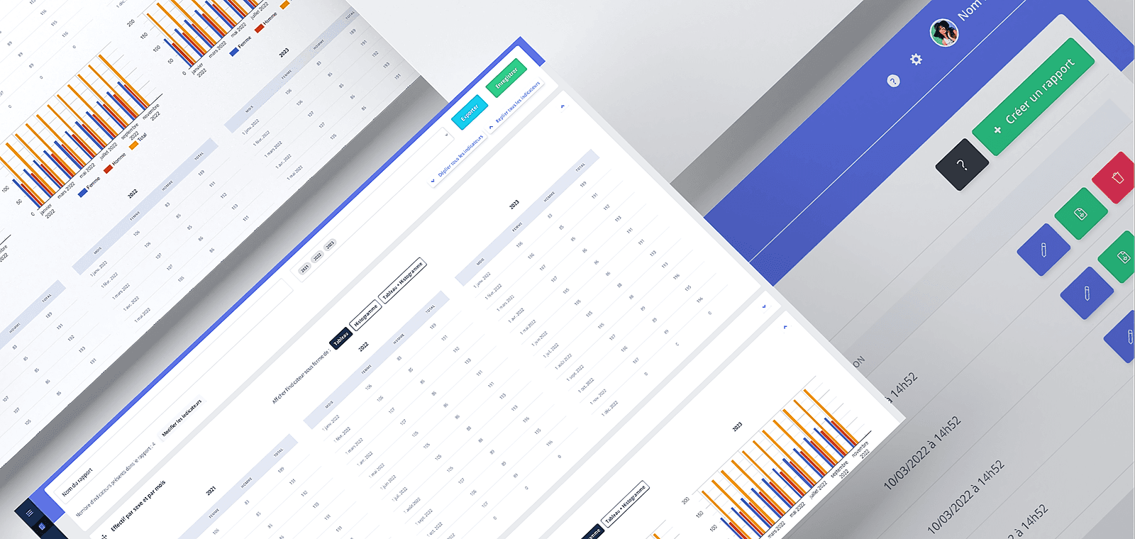 Présentation des rapports d'indicateurs dans BDESE online