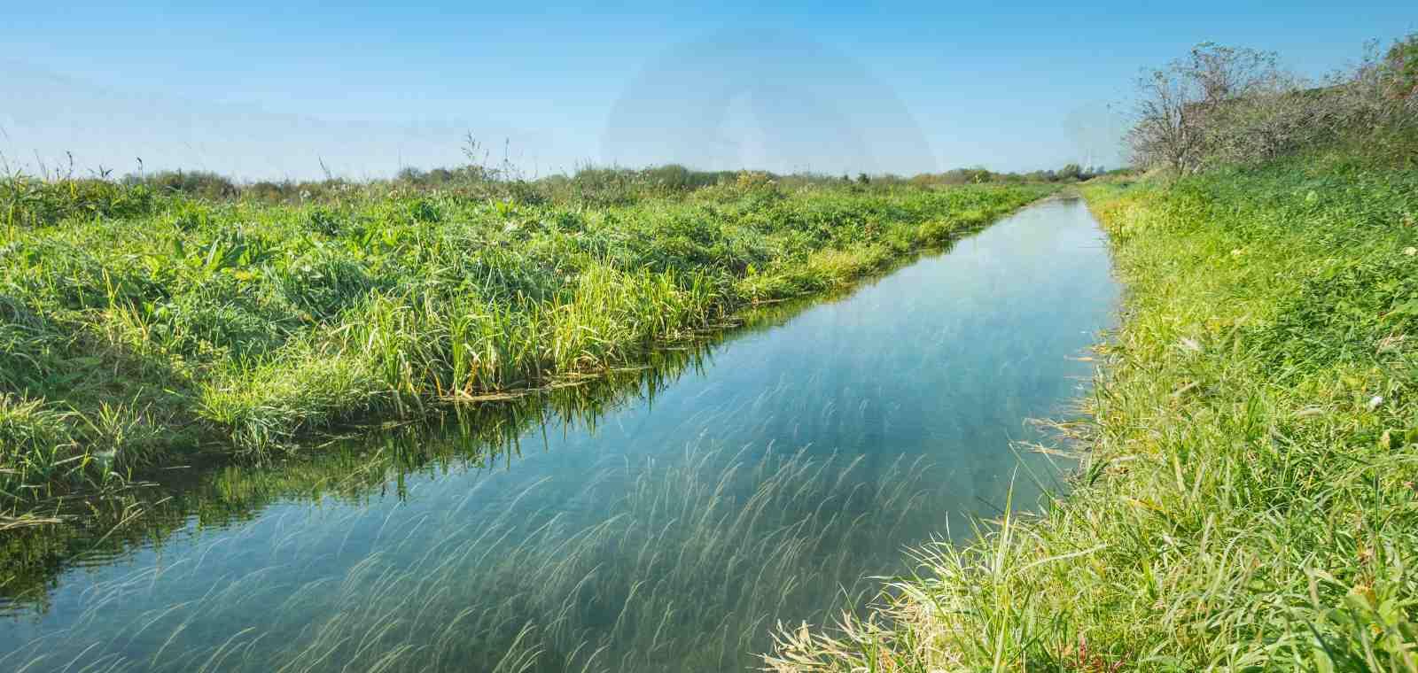 Communiquer sur la gestion de l'eau en tant qu'agriculteur