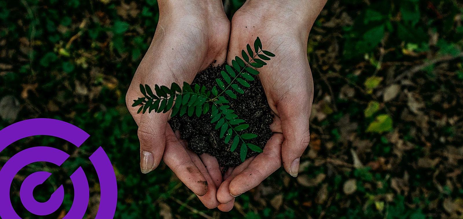 RSE & Green IT : 10 bénéfices d’enclencher une démarche Numérique Responsable