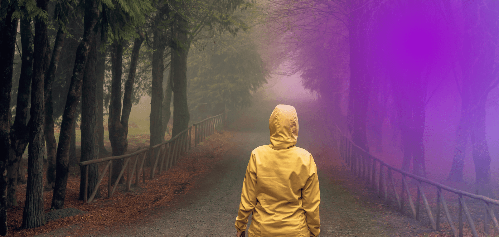 Burnout & bilan : 5 fausses bonnes idées qui te maintiennent dans le brouillard