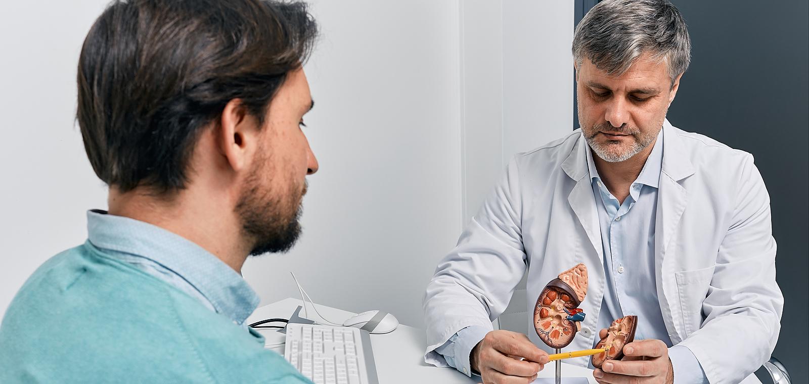 Vos reins travaillent 24h/24h, ils ont eux aussi besoin d'un check up !