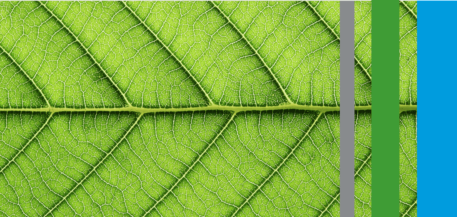 Comment valoriser sa démarche de durabilité grâce au reporting VSME ?