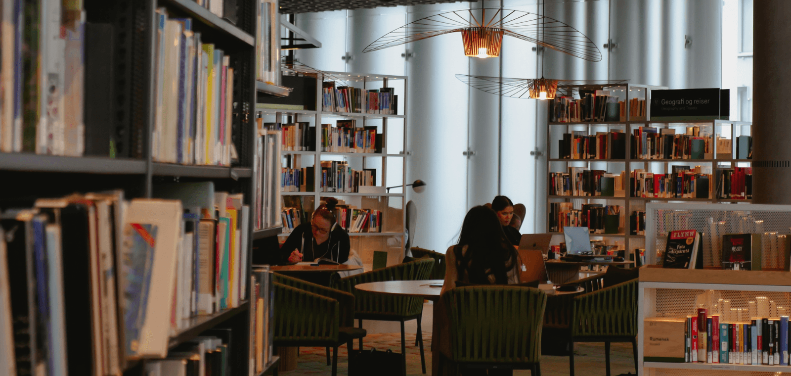 Moderniser l'image de son centre documentaire avec un nouveau portail Pagéo : retour d'expérience de l'IRFASE