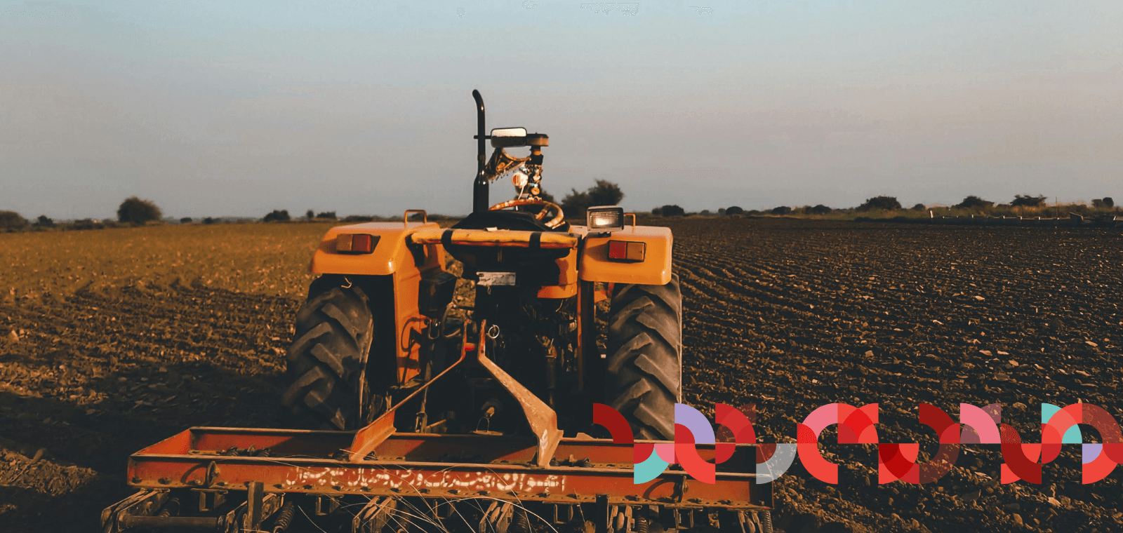 Coopératives Agricoles : Pourquoi sortir du 'sur-mesure' informatique est devenu une urgence vitale en 2026