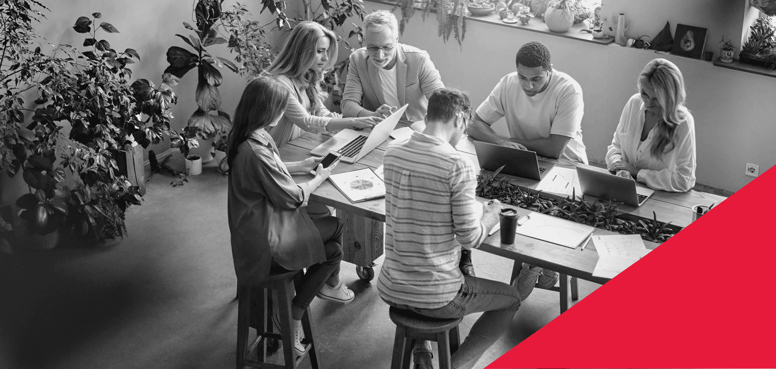 Transparence salariale : les enseignements clés de l’Observatoire