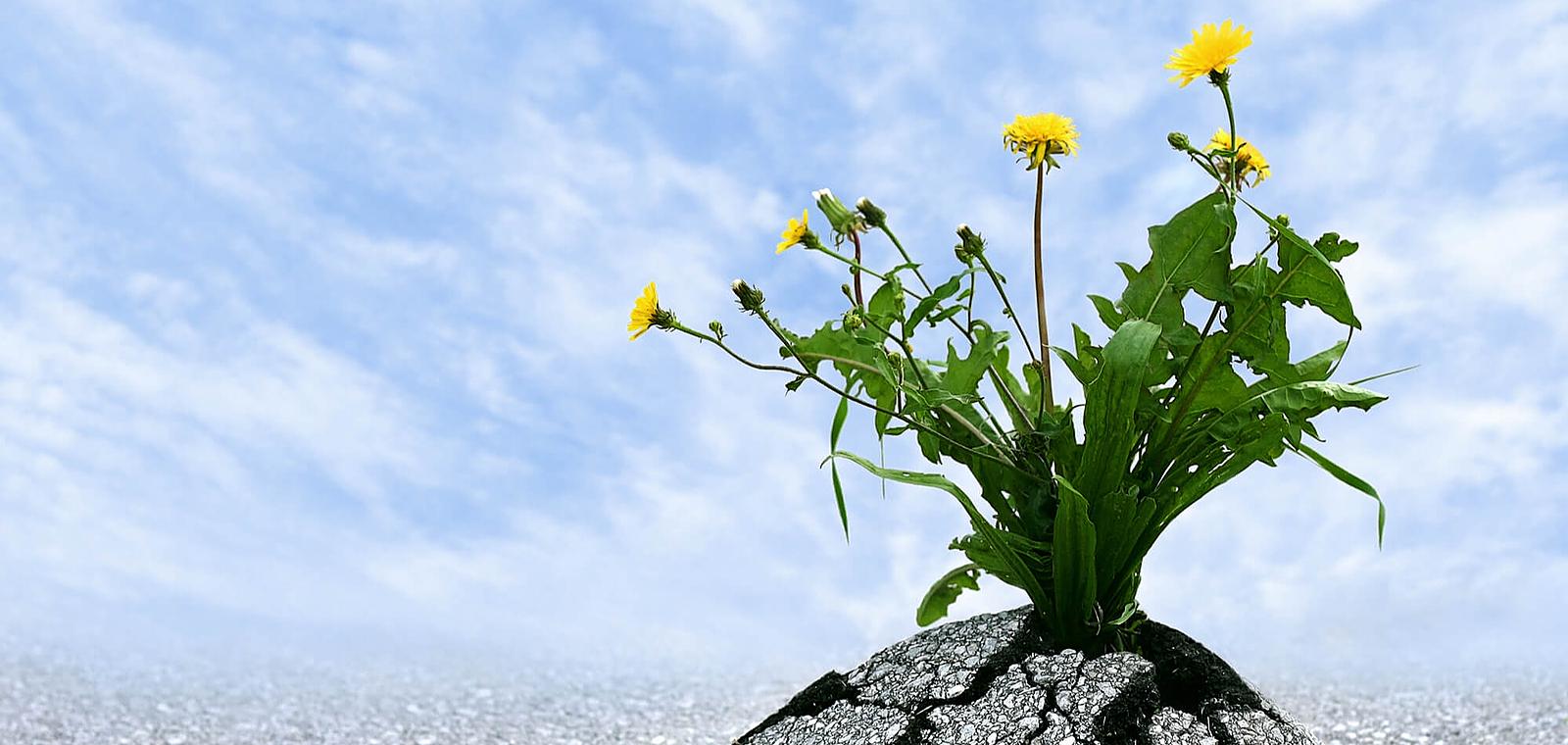 Savoir devenir, savoir redevenir : comment réussir dans un monde en mutation