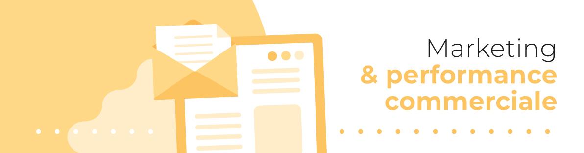 Marketing et performance commerciale