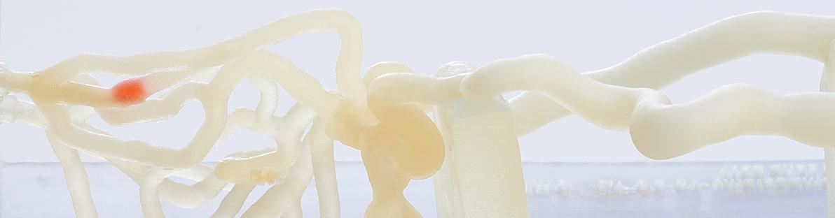 Applications dans le secteur médical