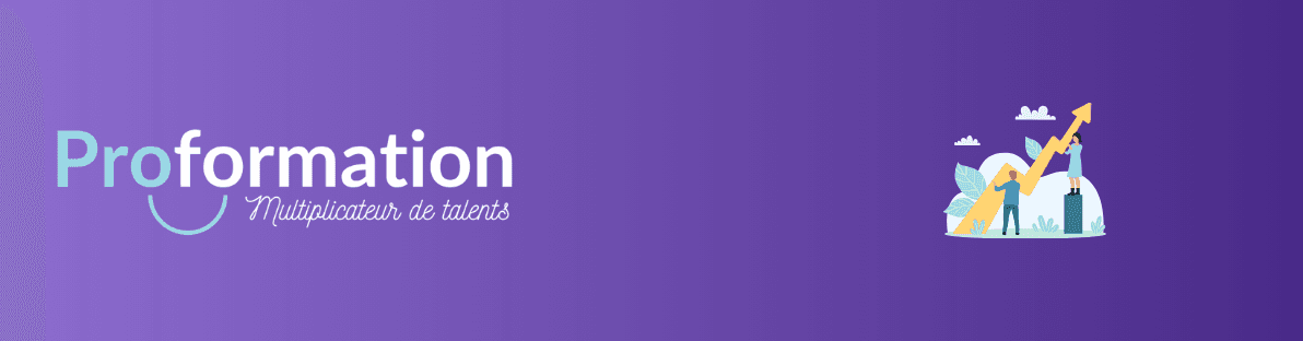 Efficacité professionnelle