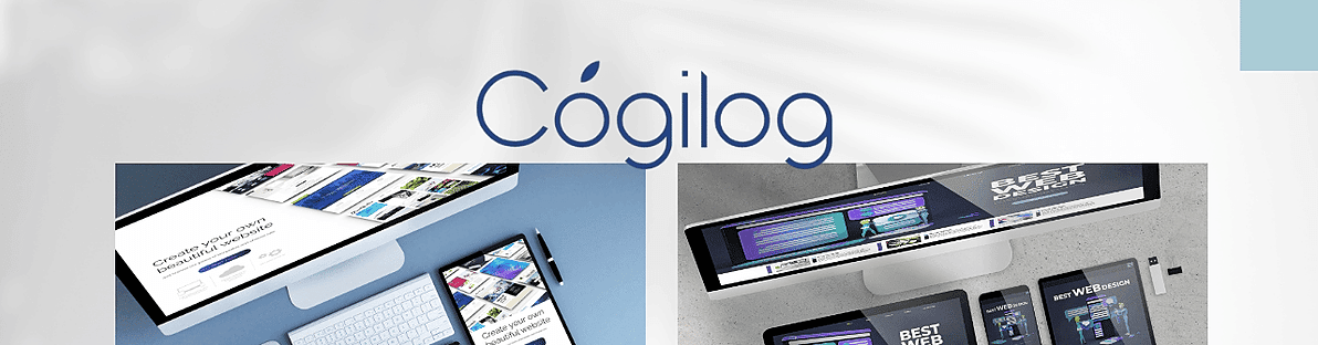 Cogilog, spécialisée dans l'édition de logiciels de gestion (comptabilité, facturation, bulletins de paie, déclarations fiscales, etc.)