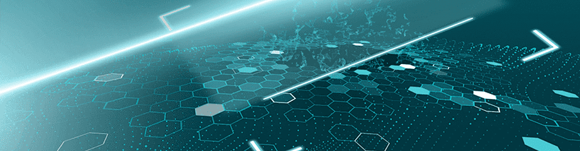 Cybersécurité du Secteur Public