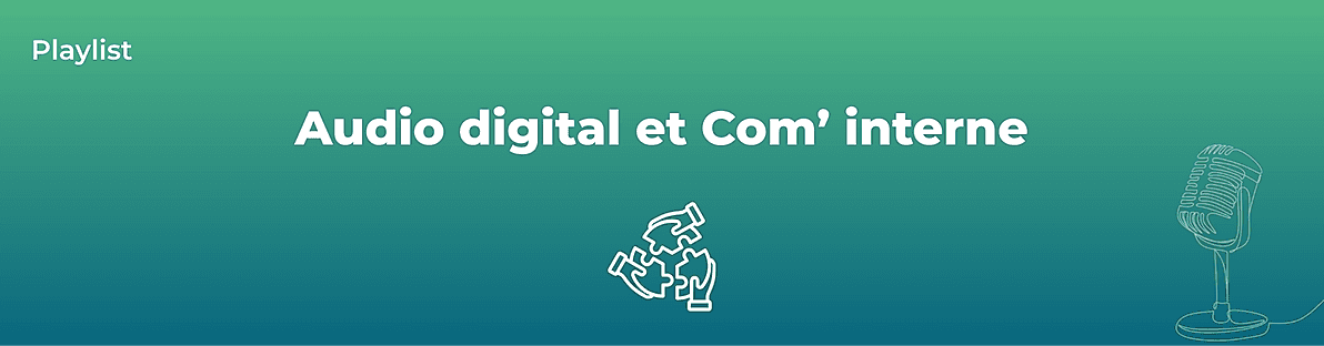 Audio digital et com' interne