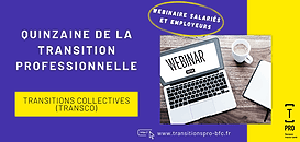 Transitions Collectives (TRANSCO)