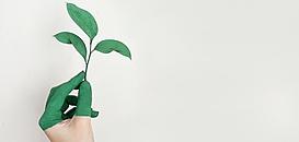 Réaliser une analyse environnementale : rappel de la méthode et présentation du logiciel Previsoft