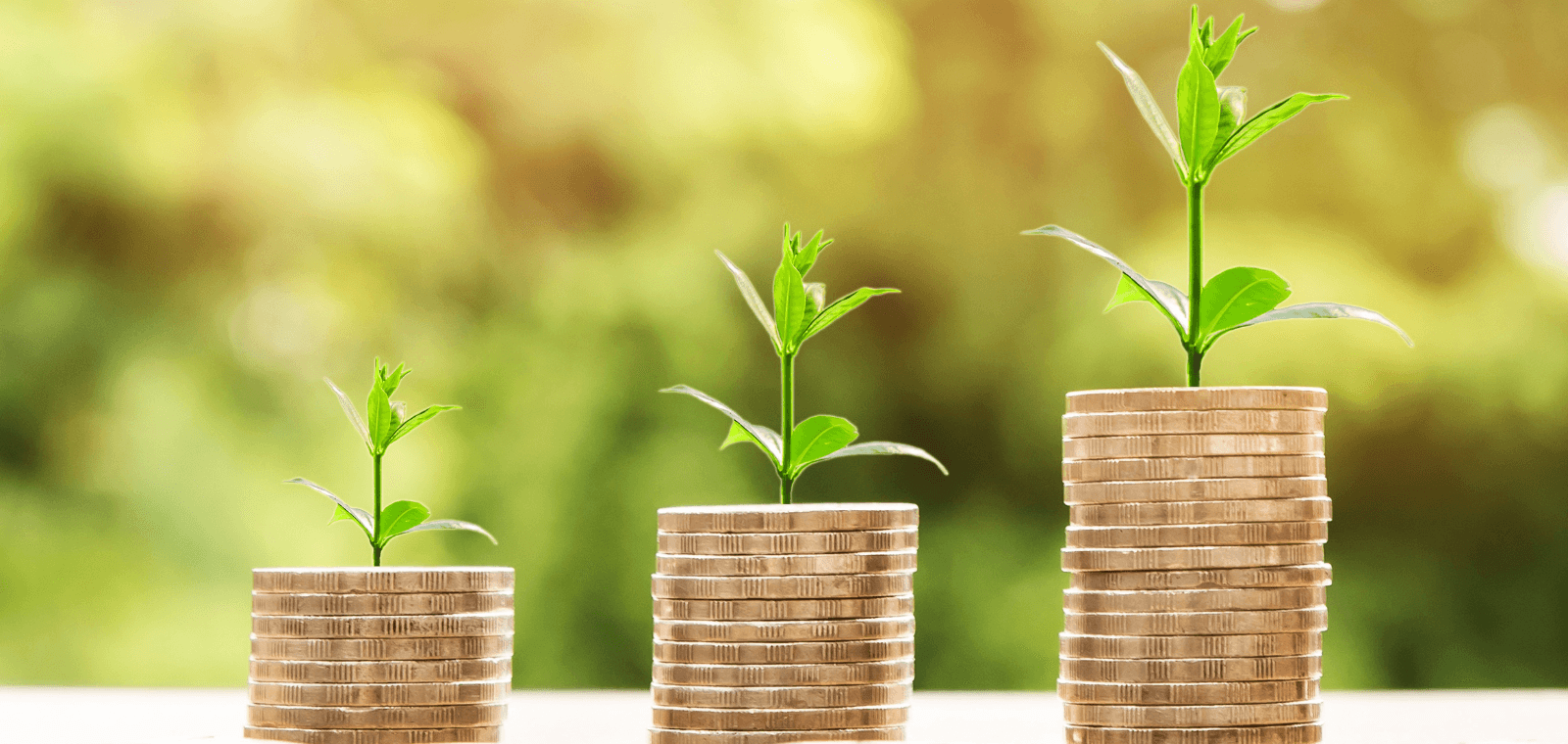 Le Plan d'Épargne Retraite (PER) : est-ce une bonne solution ?