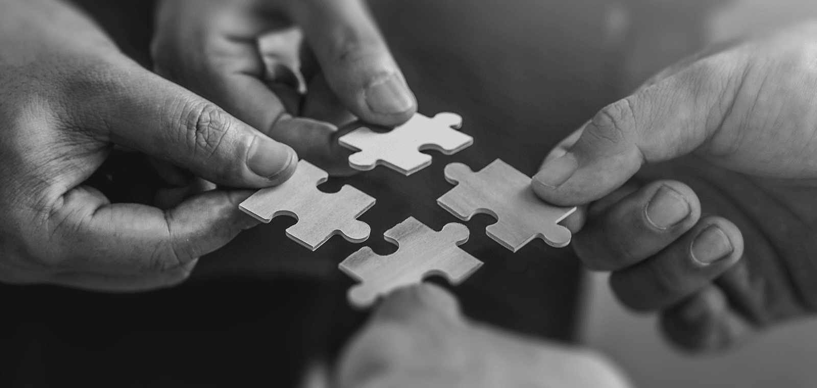 Chefs d'entreprise : maximisez vos revenus grâce à la holding !