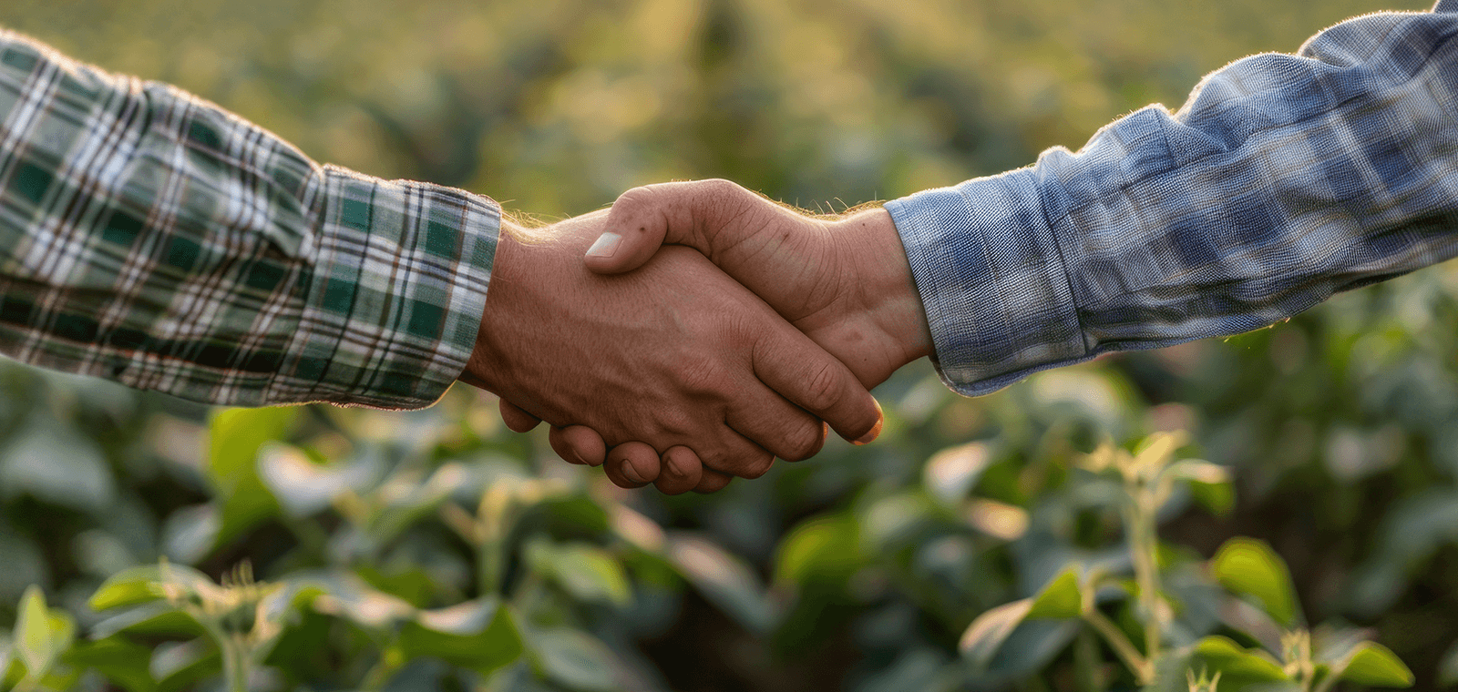 Facturation électronique : quels impacts pour les coopératives agricoles ?
