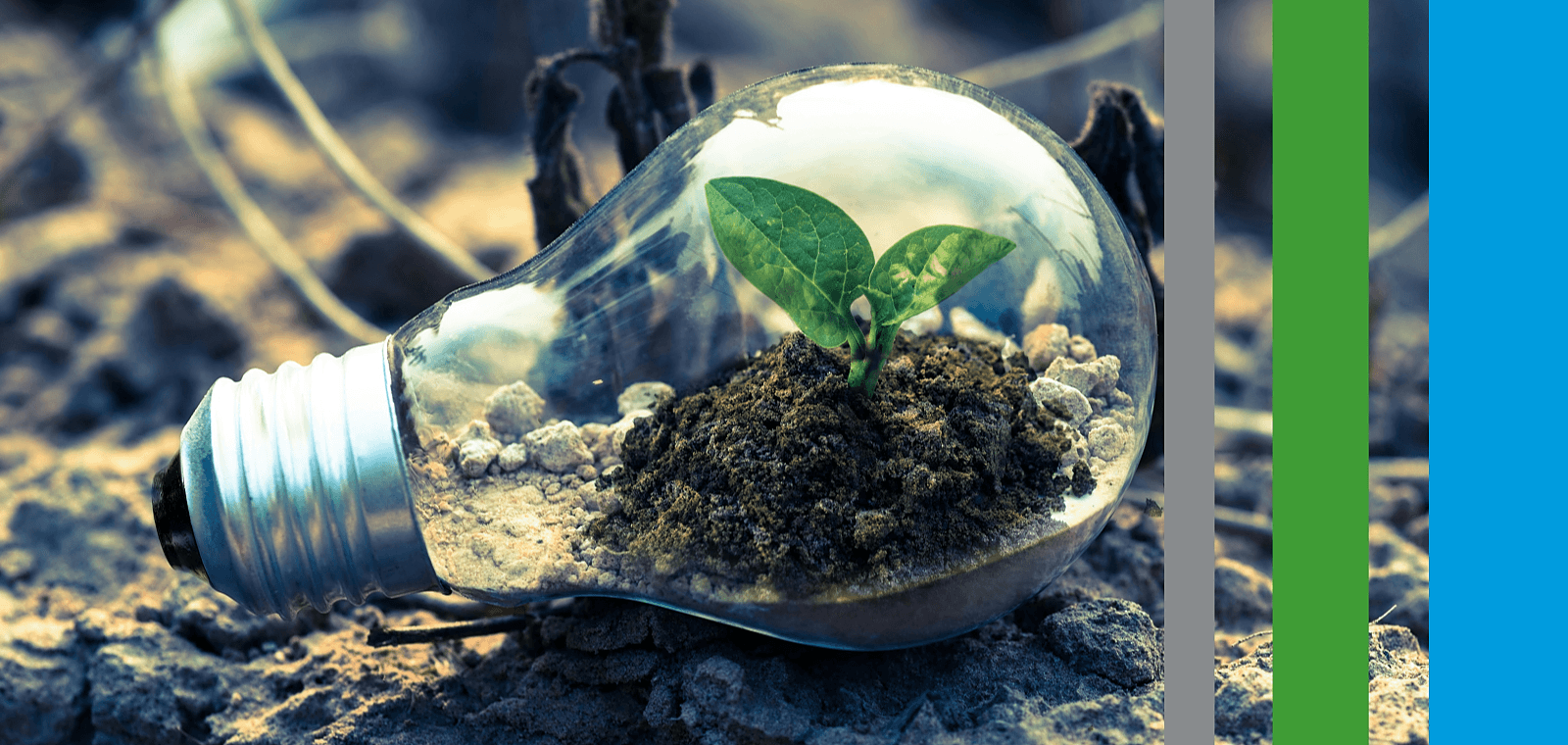 Omnibus et CSRD : retour d'expérience sur les 1ers reporting durabilité