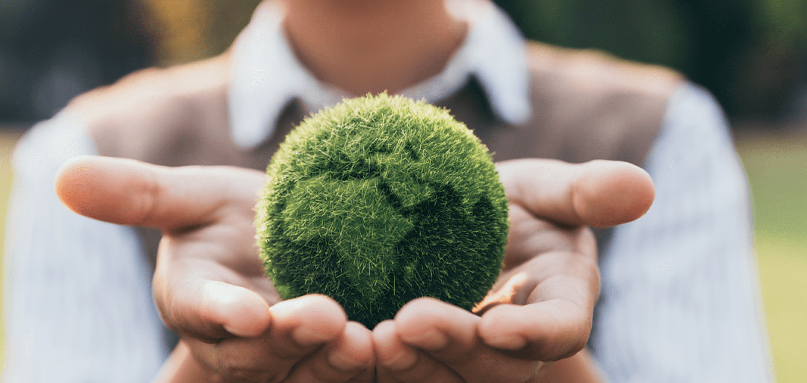 Transition écologique : identifier les compétences vertes au sein de votre entreprise