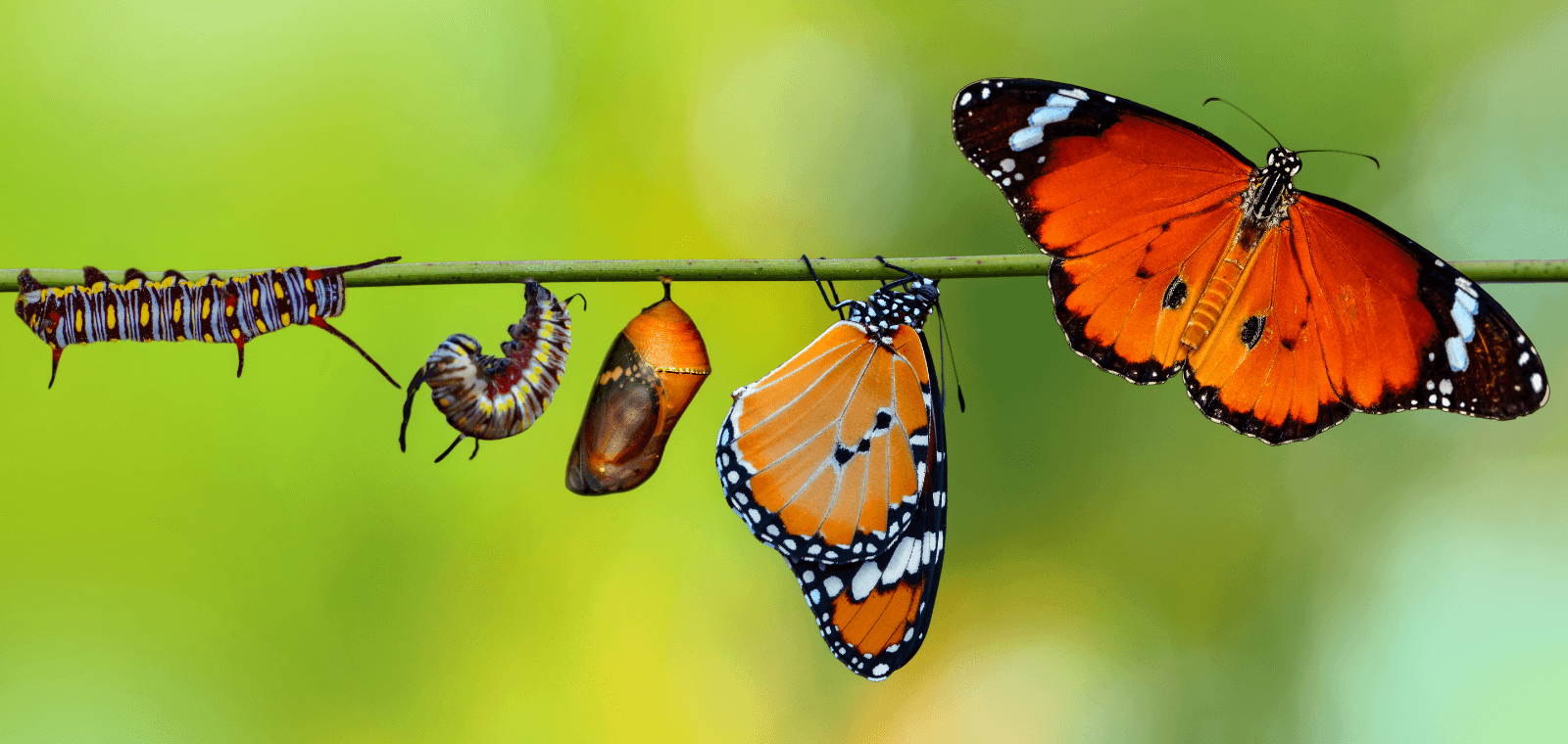 Optimiser son potentiel en changeant ses comportements : stratégies et techniques