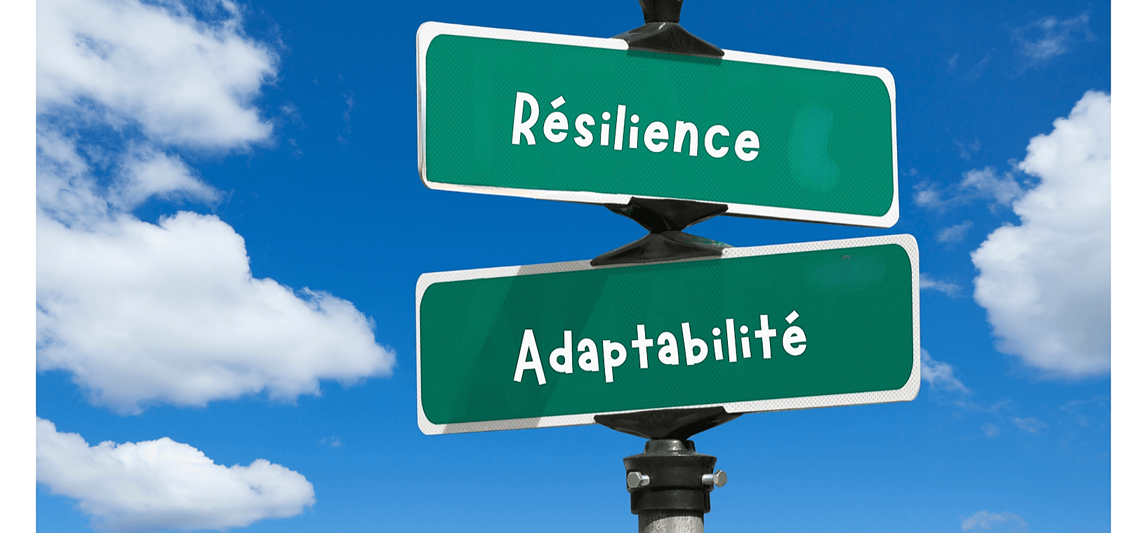 Renforcez votre adaptabilité et votre résilience face aux changements