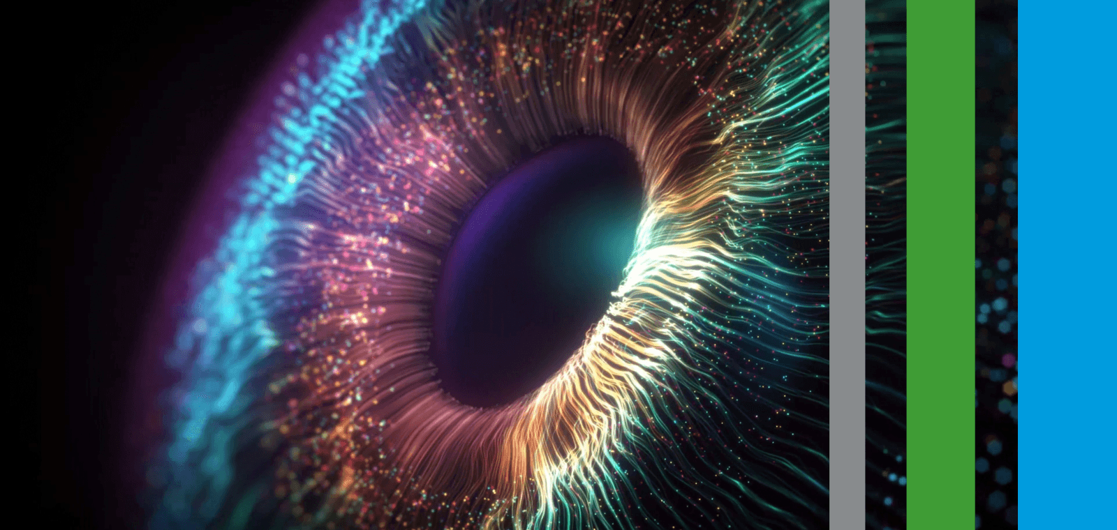 Digitalisation RH : mettez vous en conformité et optimisez vos processus !