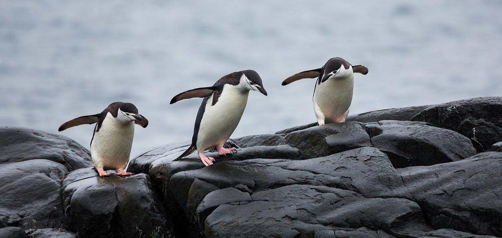 Devenir société à mission : un levier stratégique pour votre entreprise
