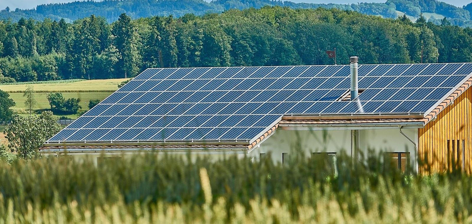 Industrie agroalimentaire : faire de la décarbonation un levier de compétitivité