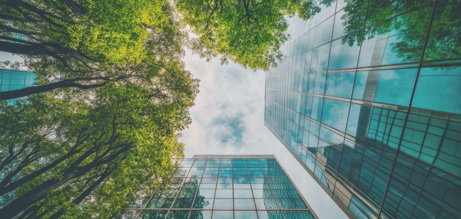 VSME, CSRD ou autres référentiels ? Les premières étapes concrètes d’une démarche RSE