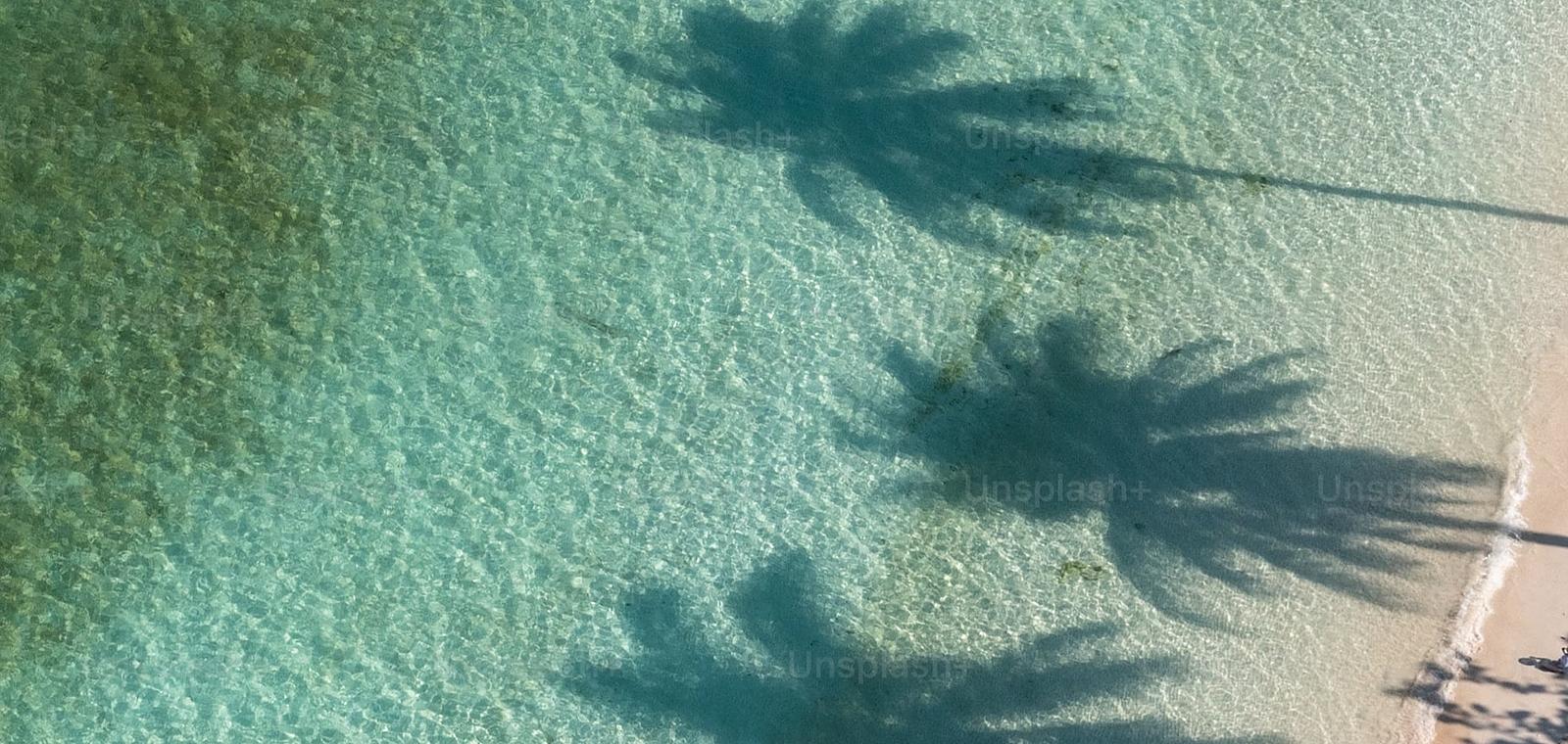 PME normande : comment valoriser ma RSE auprès de mes banques, clients et investisseurs ?