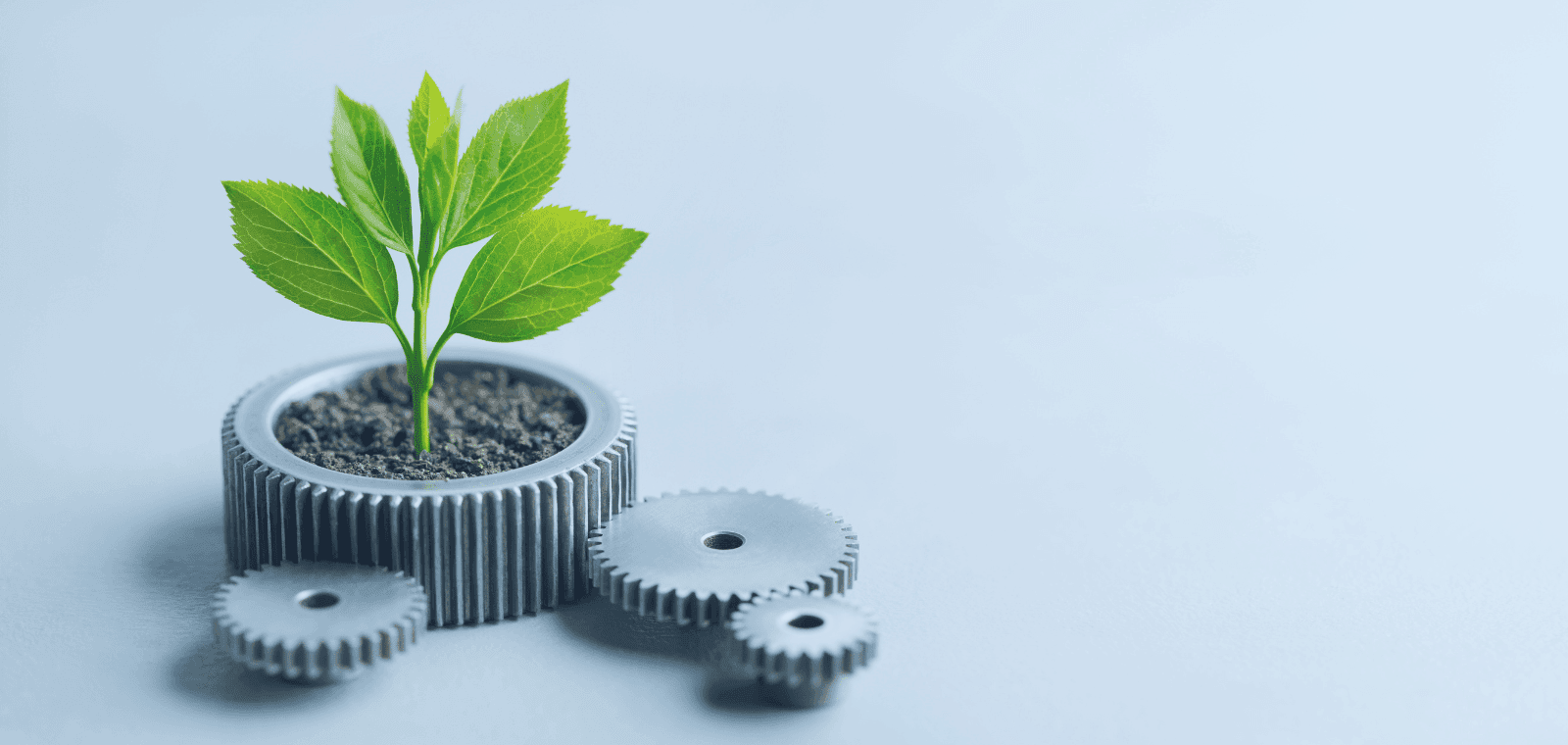 Déchets & Éco-contribution : enjeux stratégiques et nouvelles obligations réglementaires