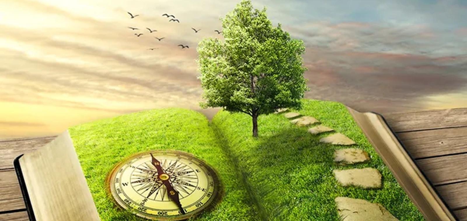 Développement personnel : l'arbre de vie pour un équilibre durable