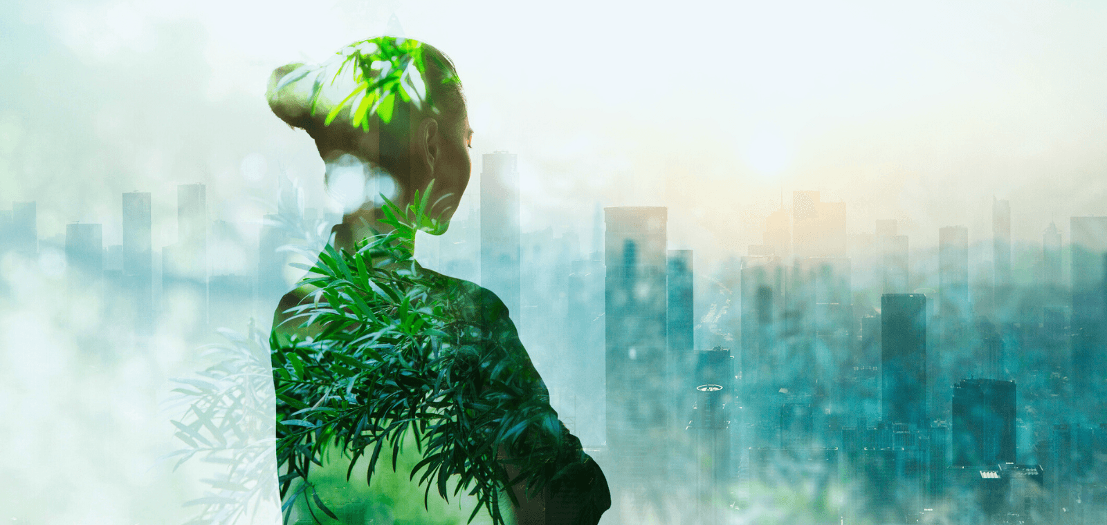 Concilier performance et durabilité : impossible ? Repenser la stratégie d’entreprise dans une nouvelle ère