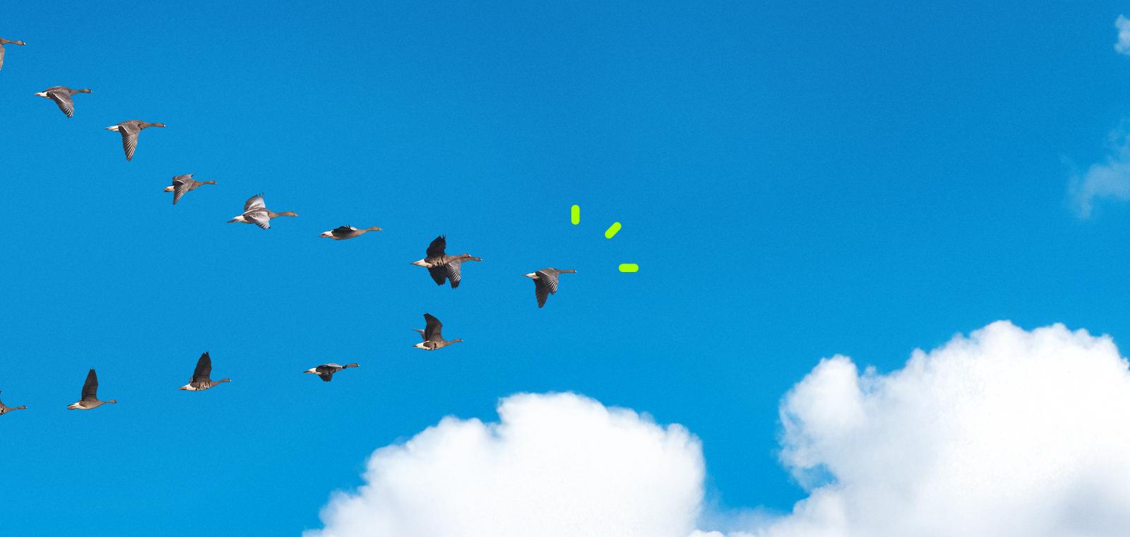 Et si votre prochain avantage salarié réduisait la facture d’énergie de vos collaborateurs ?