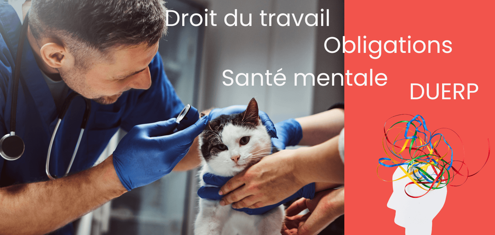 Vétérinaires : maitrisez vos obligations en matière de santé mentale de vos salariés et évitez les sanctions