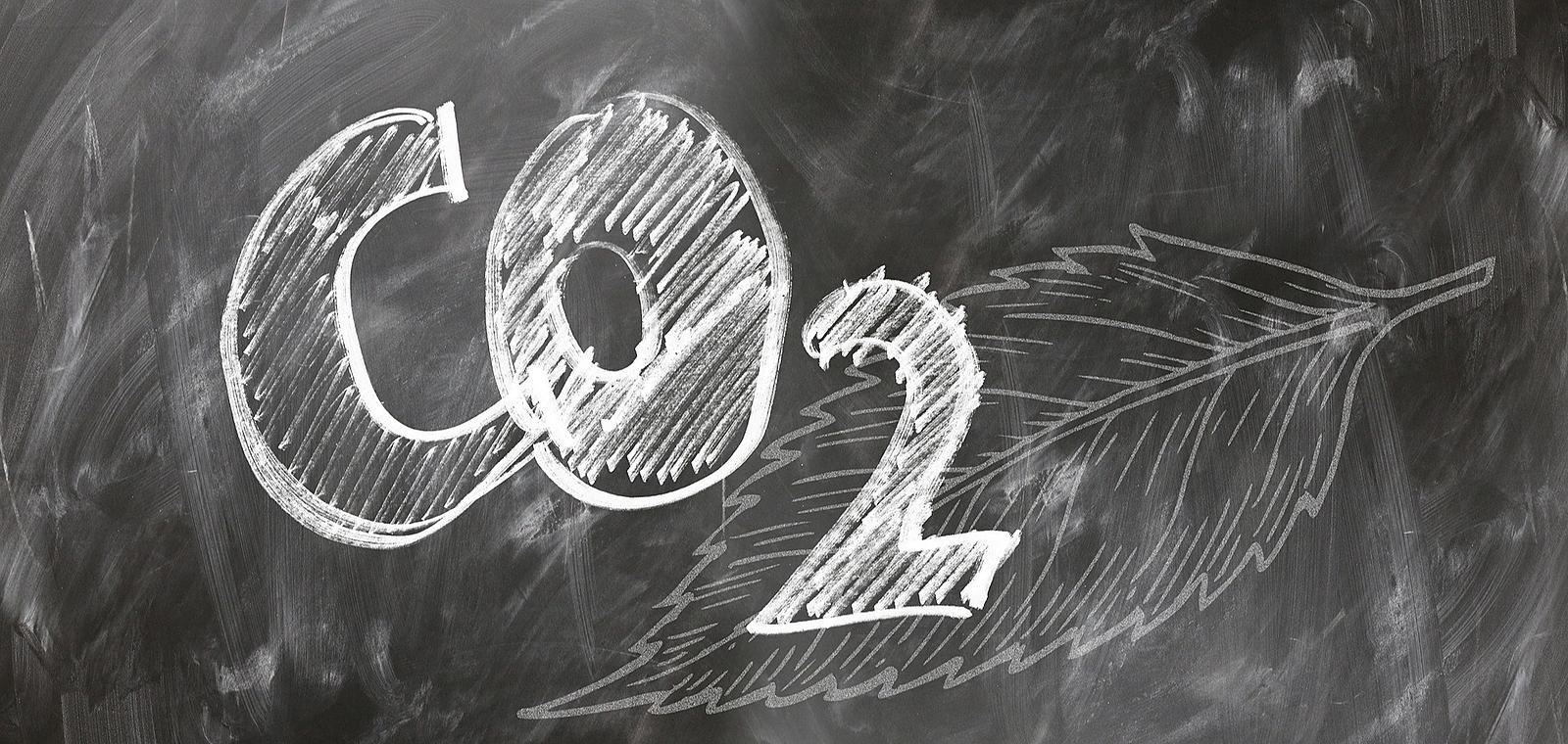 PME & Bilan Carbone : comment en faire un levier stratégique et différenciant