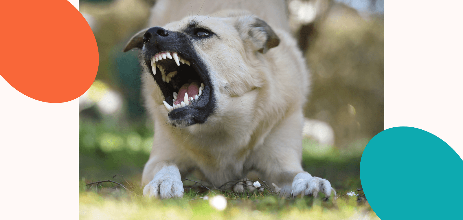 Managers : transformez vos irritations en leadership impactant