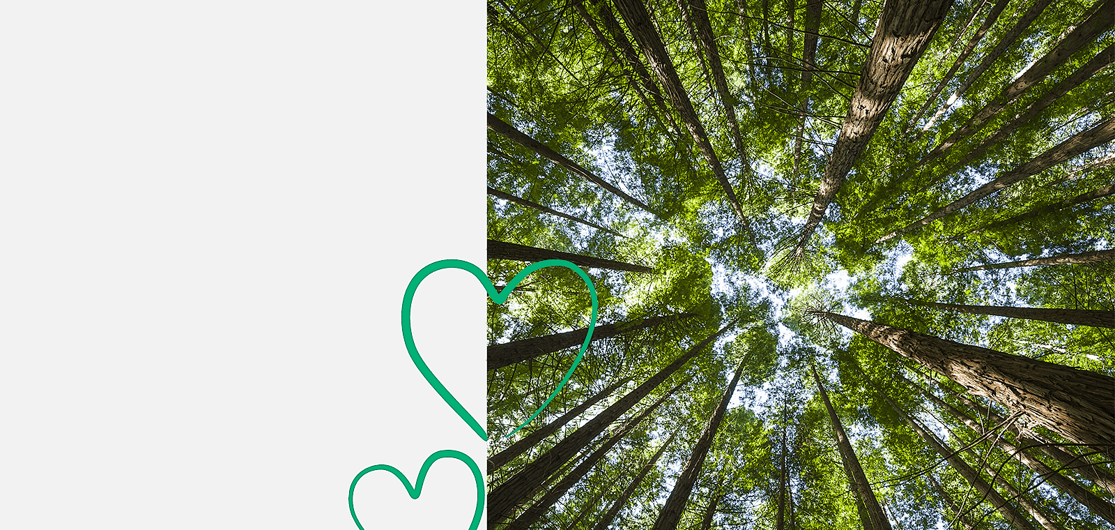 Réduire l’empreinte carbone des parcs d’impression : un levier stratégique pour les DSI.