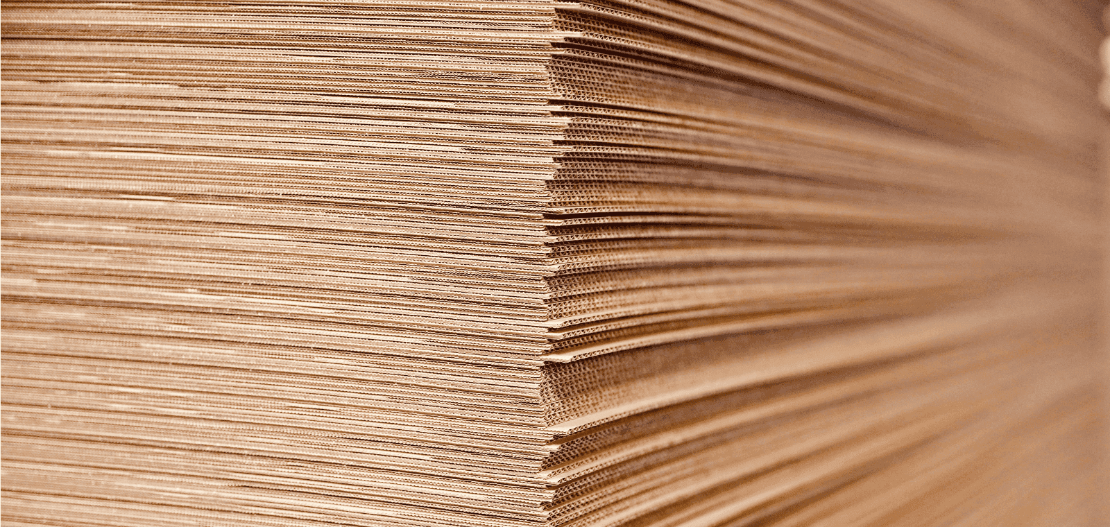 Les secrets du carton ondulé : un produit responsable, des fibres recyclées à l'emballage final