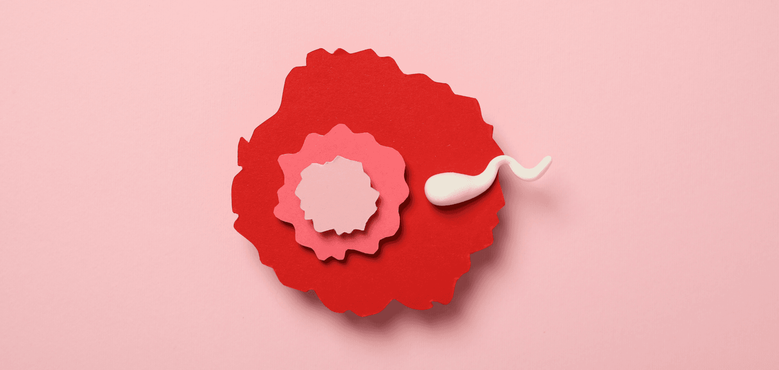 Comment comprendre l'infertilité et quelles sont les solutions médicales ?